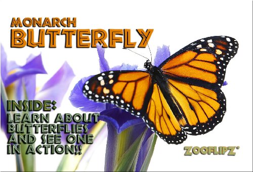 9781934095164: Wildlife Flipbooks (Butterfly)