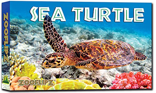 Stock image for Flipbooks - 4 x Sea Turtle for sale by Jenson Books Inc