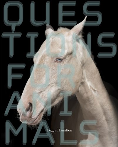Beispielbild fr Questions for Animals (New Series) zum Verkauf von Open Books
