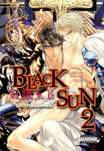 Stock image for Black Sun Volume 2 (Yaoi) for sale by HPB-Red