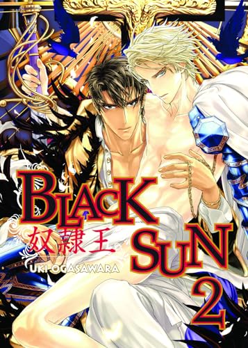 Stock image for Black Sun Volume 2 (Yaoi) for sale by HPB-Red