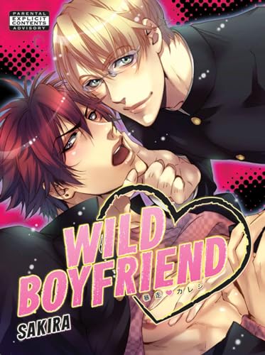 Beispielbild fr Wild Boyfriend zum Verkauf von medimops