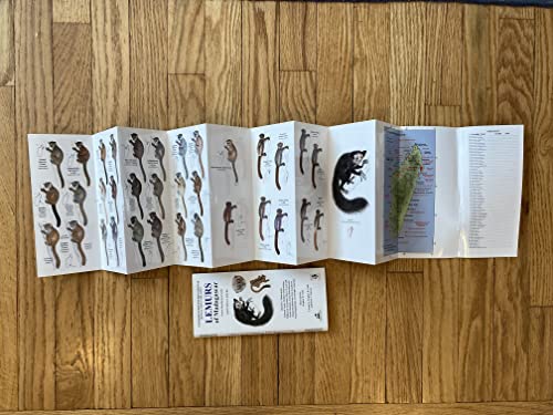 Lemurs of Madagascar: Nocturnal Lemurs (Conservation International Pocket Identification Guide) (9781934151310) by Russell A Mittermeier; Edward Louis; Matthew Richardson; William R Konstant; Et Al