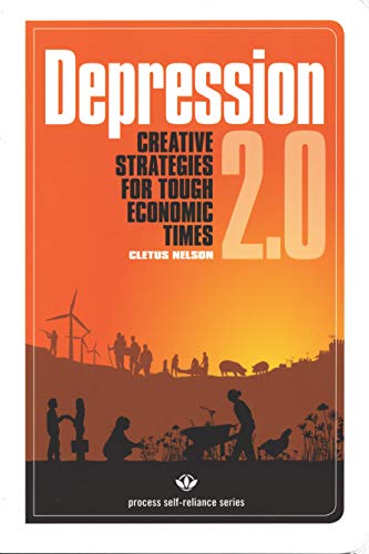 Beispielbild fr Depression 2.0 : Creative Strategies for Tough Economic Times zum Verkauf von Better World Books