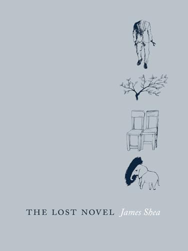 Stock image for The Lost Novel for sale by Zubal-Books, Since 1961