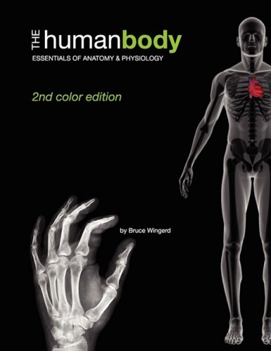 Imagen de archivo de The Human Body: Essentials of Anatomy & Physiology (Second Color Edition) a la venta por The Book Spot