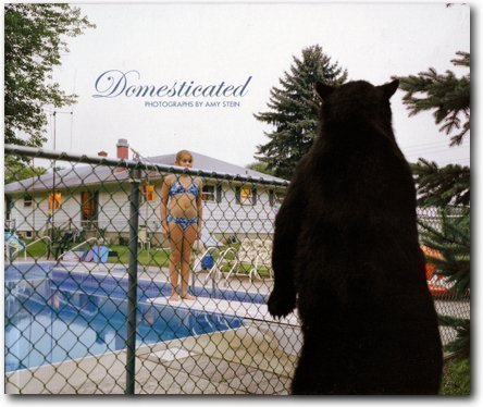 Stock image for Domesticated: Photographs by Amy Stein for sale by Chaparral Books