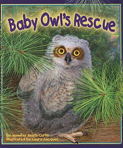 Beispielbild fr Baby Owl's Rescue zum Verkauf von Better World Books