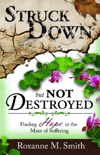 Stock image for Struck Down; But Not Destroyed: Finding Hope in the Maze of Suffering for sale by Blue Vase Books