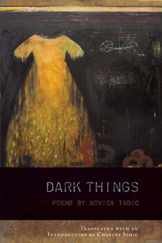 9781934414248: Dark Things (Lannan Translations Selection Series)