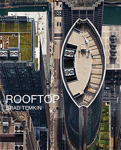 Stock image for Brad Temkin: Rooftop for sale by Wizard Books