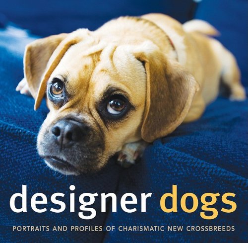 Beispielbild fr Designer Dogs : Portraits and Profiles of Popular New Crossbreeds zum Verkauf von Better World Books