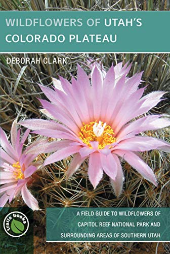 Stock image for Wildflowers of Utah's Colorado Plateau: A Field Guide to Wildflowers of Capitol Reef National Park and Surrounding Areas of Southern Utah for sale by Revaluation Books