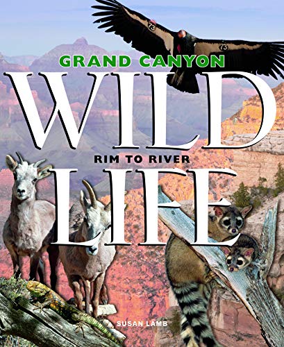 Beispielbild fr Grand Canyon Wildlife Rim to River zum Verkauf von AwesomeBooks