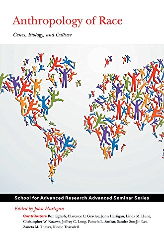 Stock image for Anthropology of Race: Genes, Biology, and Culture (School for Advanced Research Advanced Seminar Series) for sale by HPB-Ruby