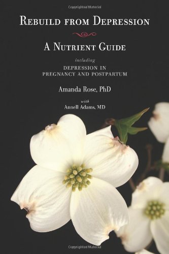Stock image for Rebuild from Depression: A Nutrient Guide Including Depression in Pregnancy and Postpartum for sale by Goodwill Books