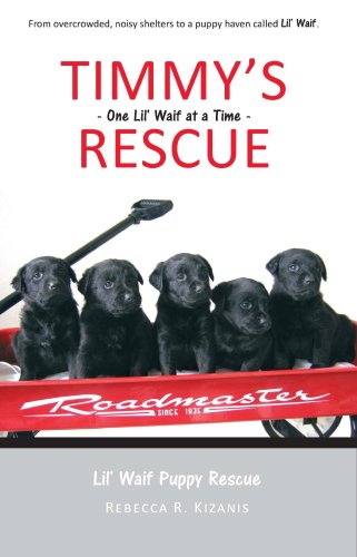 Stock image for Timmy's Rescue: One Lil' Waif at a Time for sale by ThriftBooks-Dallas