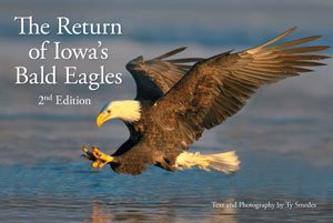 Imagen de archivo de The Return of Iowa's Bald Eagles 2nd Edition a la venta por ThriftBooks-Dallas