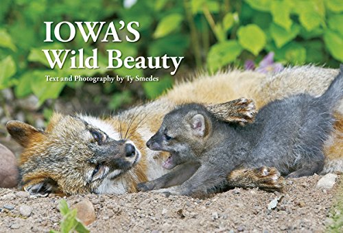 Imagen de archivo de Iowa's Wild Beauty a la venta por HPB Inc.