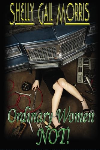 Stock image for Ordinary Women--Not! for sale by Revaluation Books