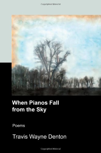 Imagen de archivo de When Pianos Fall from the Sky a la venta por ThriftBooks-Atlanta