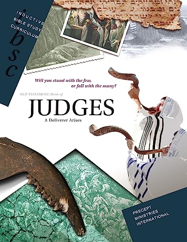 Imagen de archivo de Judges: A Deliverer Arises a la venta por ThriftBooks-Dallas