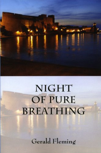 Imagen de archivo de Night of Pure Breathing a la venta por Open Books