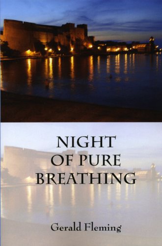 Stock image for Night of Pure Breathing for sale by Open Books