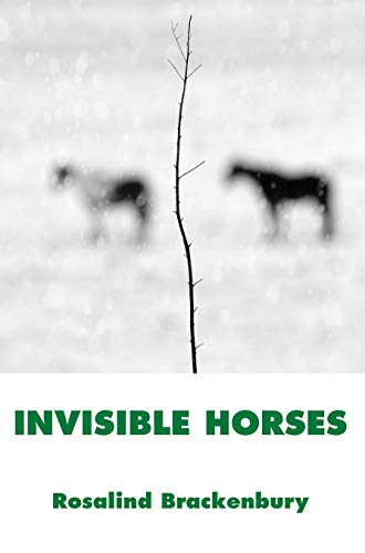 Stock image for Invisible Horses for sale by ThriftBooks-Atlanta