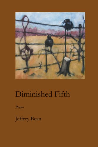 Stock image for Diminished Fifth for sale by HPB-Red