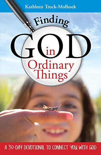 Beispielbild fr Finding God in Ordinary Things: A 30-Day Devotional to Connect You with God zum Verkauf von SecondSale