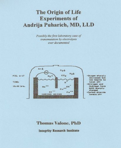 Imagen de archivo de Origin of Life Experiments a la venta por Revaluation Books