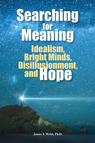 Imagen de archivo de Searching for Meaning : Idealism, Bright Minds, Disillusionment, and Hope a la venta por Better World Books