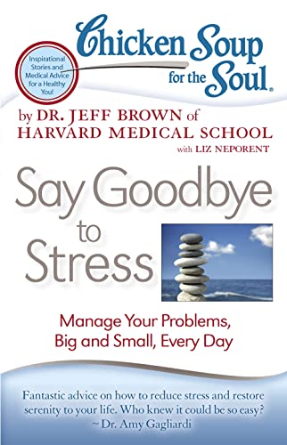 Beispielbild fr Chicken Soup for the Soul: Say Goodbye to Stress: Manage Your Problems, Big and Small, Every Day zum Verkauf von Wonder Book