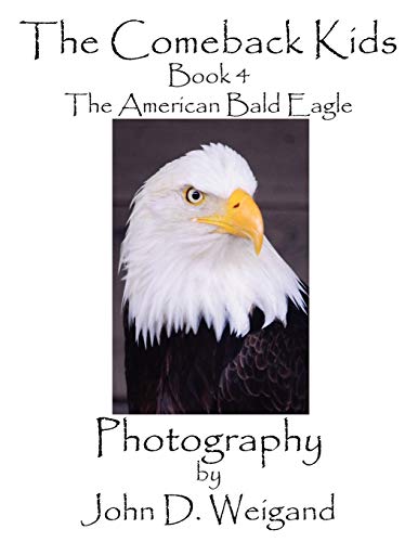 The Comeback Kids, Book 4, the American Bald Eagle - Dyan, Penelope