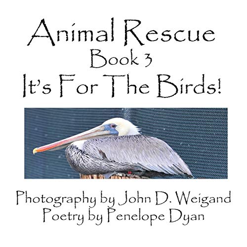 9781935118879: Animal Rescue, Book 3, It's for the Birds!