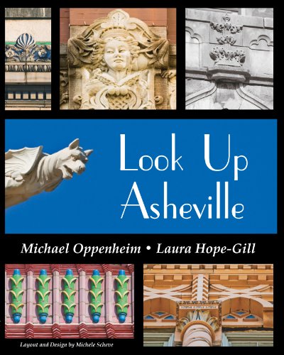 Stock image for Look Up Asheville for sale by ThriftBooks-Atlanta