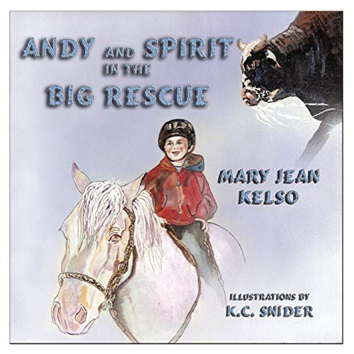 9781935137672: Andy and Spirit in the Big Rescue