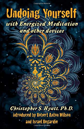 9781935150220: Undoing Yourself: With Energized Meditation & Other Devices