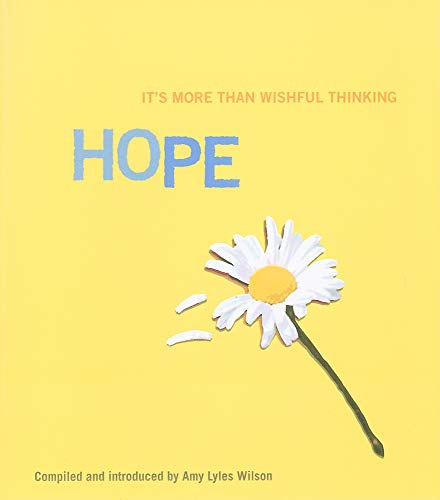 Stock image for Hope: It's More Than Wishful Thinking for sale by Wonder Book