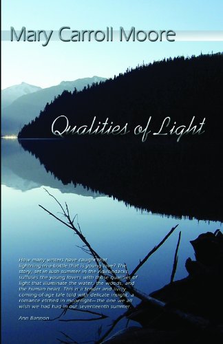 Stock image for Qualities of Light (Spinsters Ink) for sale by AwesomeBooks