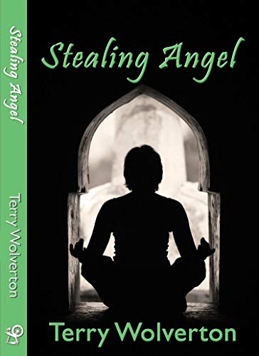 Imagen de archivo de Stealing Angel Format: Paperback a la venta por INDOO