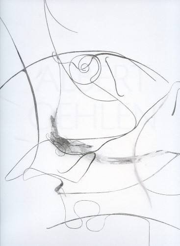 9781935263715: Albert Oehlen - Drawings