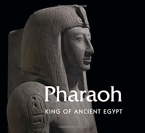 Stock image for Pharaoh: King of Ancient Egypt for sale by HPB-Diamond