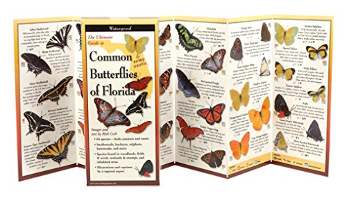 Beispielbild fr Common Butterflies of Florida: Folding Guide (Foldingguides) zum Verkauf von Save With Sam