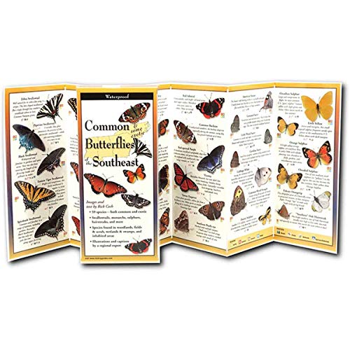 Common Butterflies of the Southeast: Folding Guide (Foldingguides)