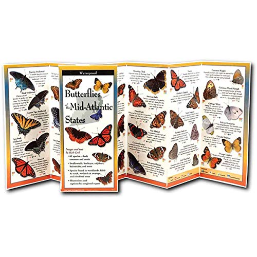 Butterflies of the Mid-Atlantic & South Central States: Folding Guide (Foldingguides) (9781935380023) by Cech, Rick
