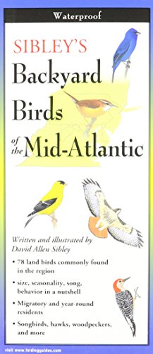 Imagen de archivo de Sibley's Backyard Birds of the Mid-Atlantic & South-Central States (Foldingguides) a la venta por Your Online Bookstore