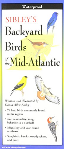 9781935380092: Sibley's Backyard Birds of Mid-Atlantic (Foldingguides)
