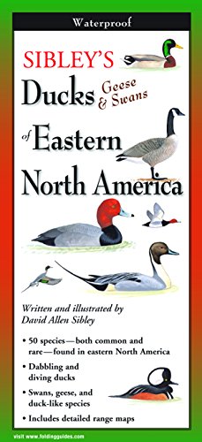 Beispielbild fr Earth Sky + Water FoldingGuide? - Sibley?s Ducks, Geese, & Swans of Eastern North America - 10 Panel Foldable Laminated Nature Identification Guide zum Verkauf von Save With Sam